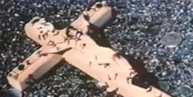 A still from David Wojnarowicz's video, ''A Fire in my Belly,'' that was removed from the Hide/Seek exhibit