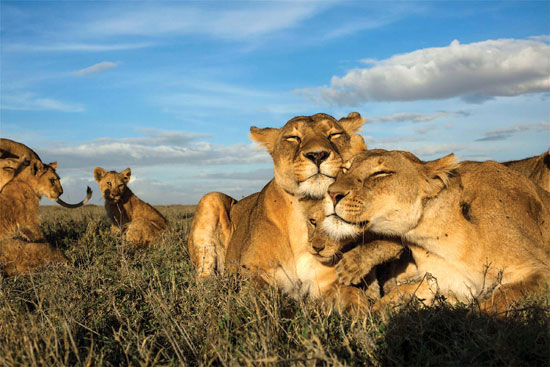National Geographic
