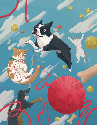 Pets: Illustration by Christopher Cunetto