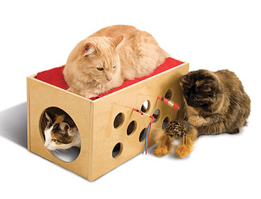 SmartCat Bootsie's Bunk Bed and Playroom