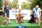 Pride of Pets #14