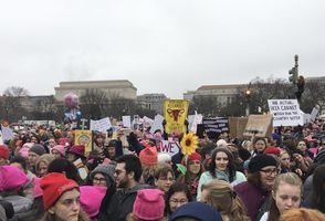Women's March on Washington #264