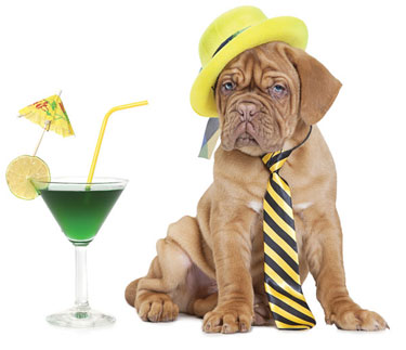 cocktail dogs patios unleashed metro weekly cocktail dogs patios unleashed metro weekly