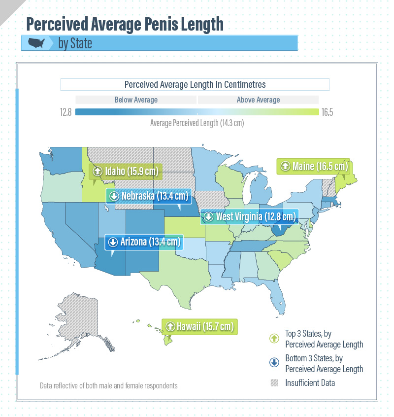 Penis Size By State 7