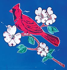 Virginia's state bird: the cardinal