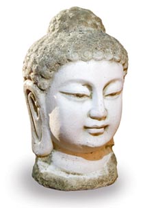 Buddha head