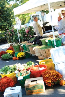 Falls Church Market