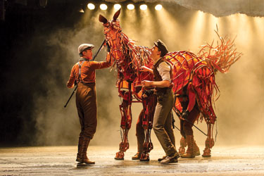 War Horse