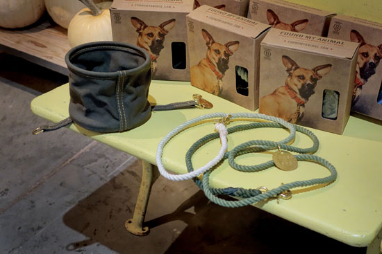 Found My Animal Collapsible Dog Bowl and Ombre Leash