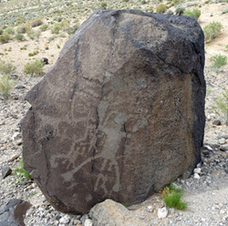ABQ_Petroglyph2.jpg