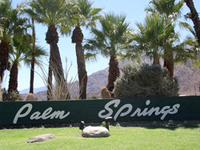 PalmSprings_Sign.jpg