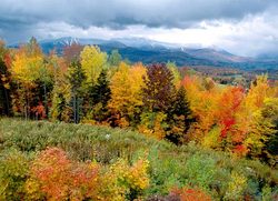 Vermont_Fall.jpg