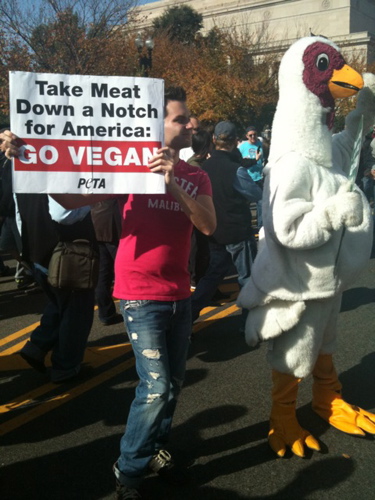 rally4sanity14.jpg