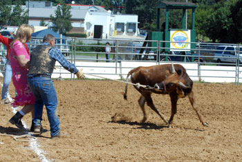 #27 of 89 : 2008-09-18_1068_34235.jpg