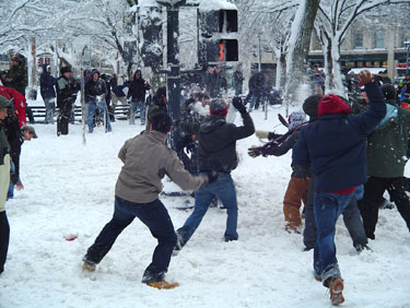 #12 of 26 : 2010-02-06_1334_51964.jpg