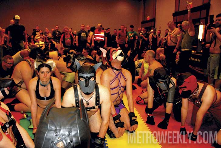 Chosen Metro Weekly Scene image