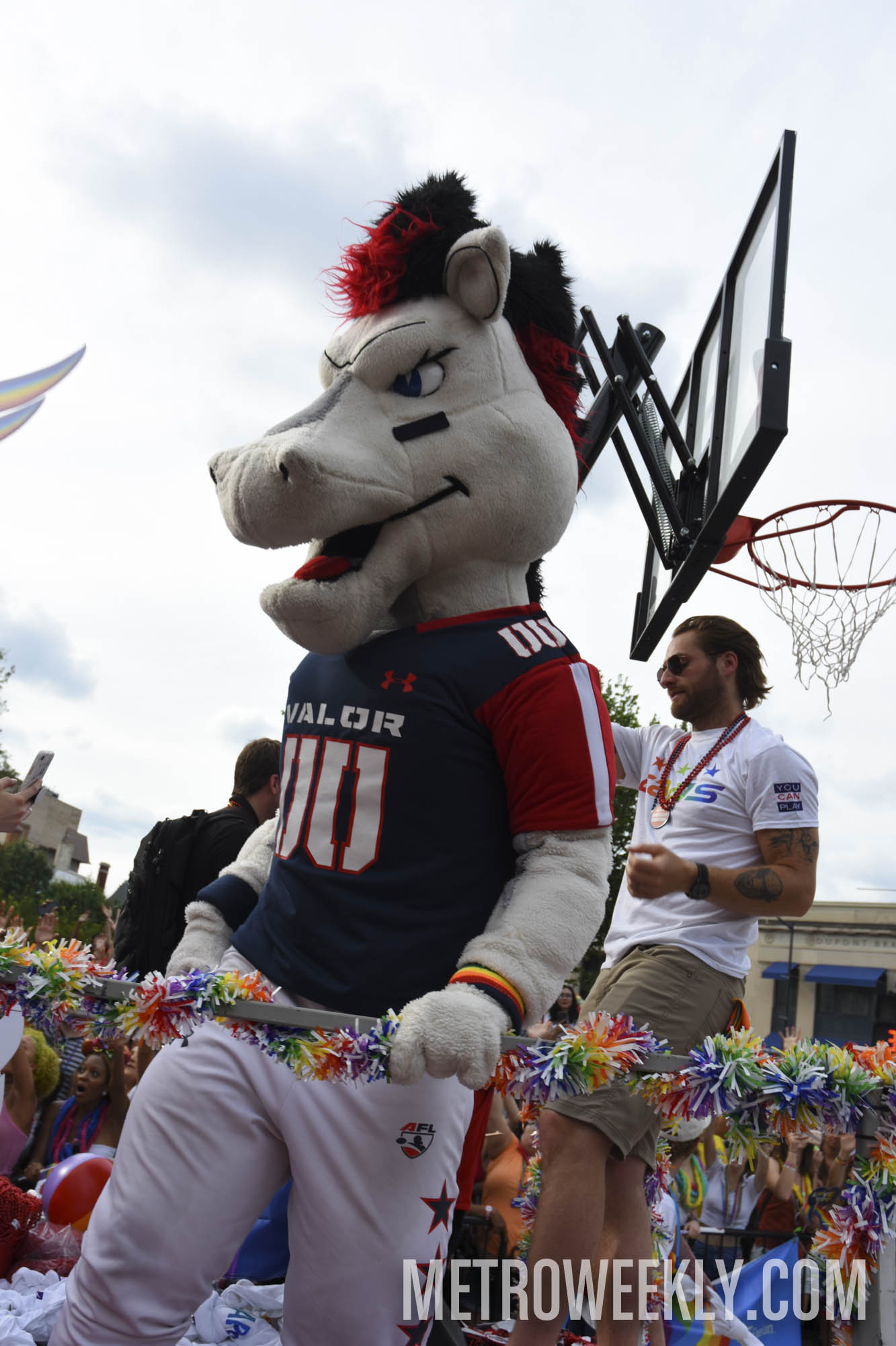 #201 of 337 : 2019-06-13_2661_155671.jpg