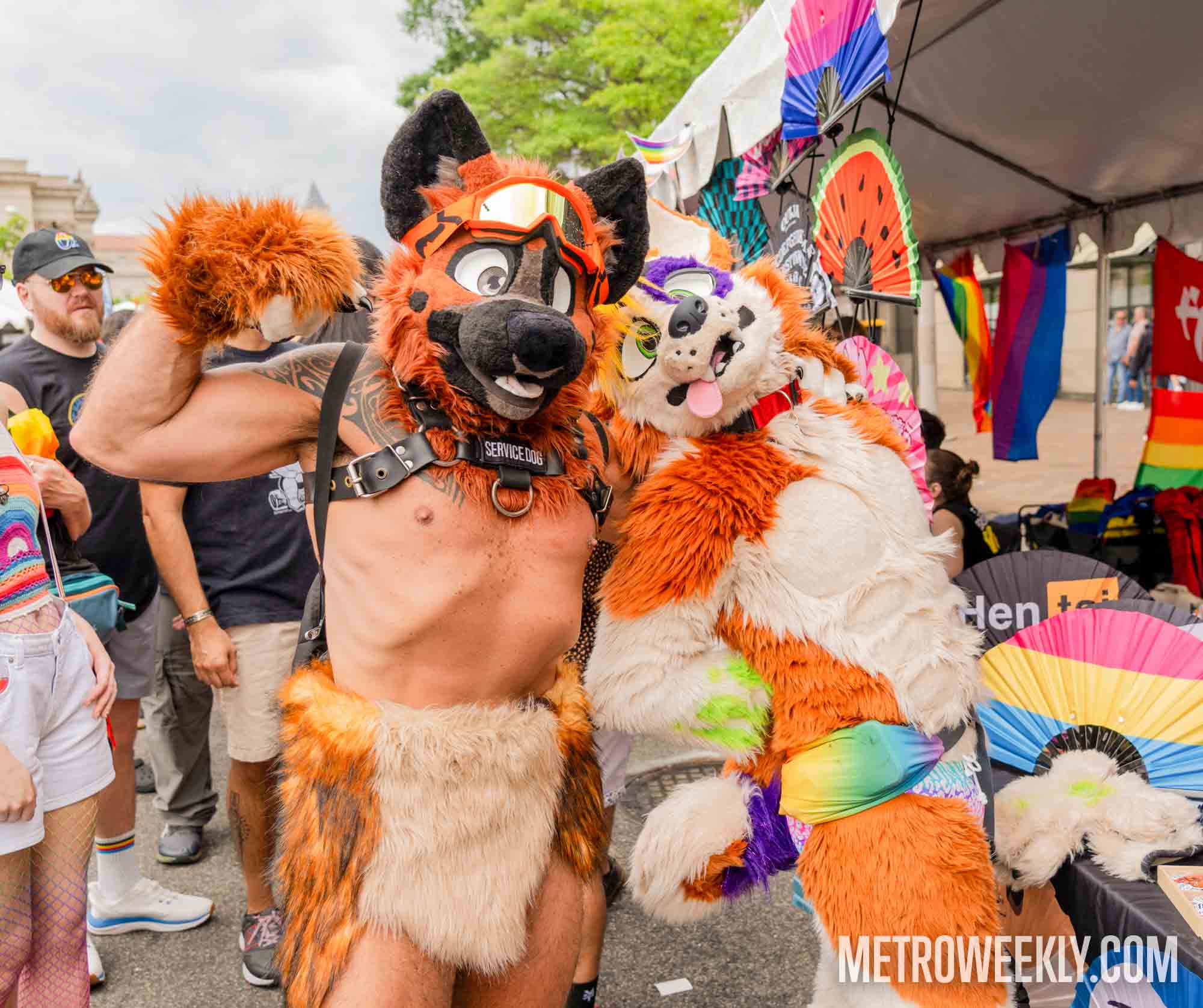 Chosen Metro Weekly Scene image