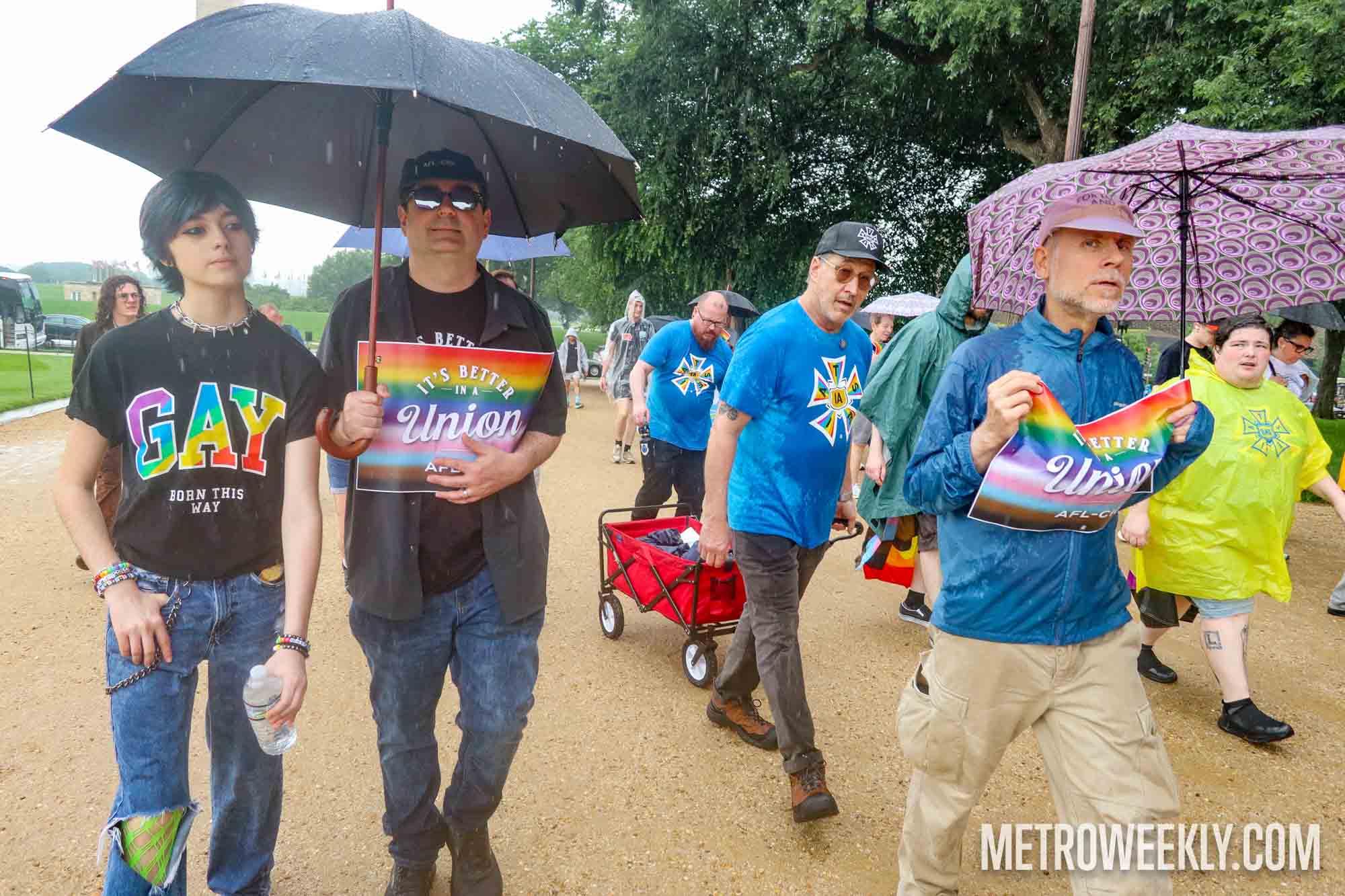 Chosen Metro Weekly Scene image