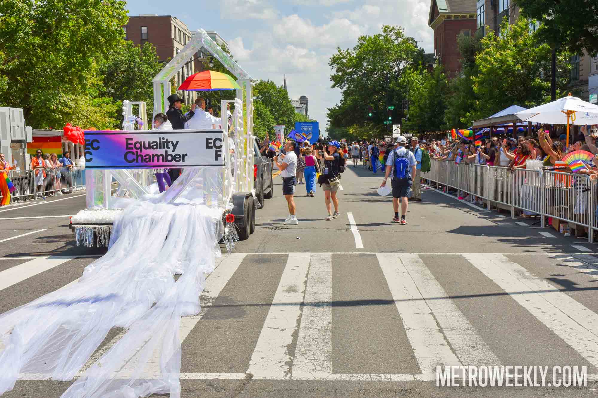 #27 of 99 : 2025-06-13_3001_177251.jpg