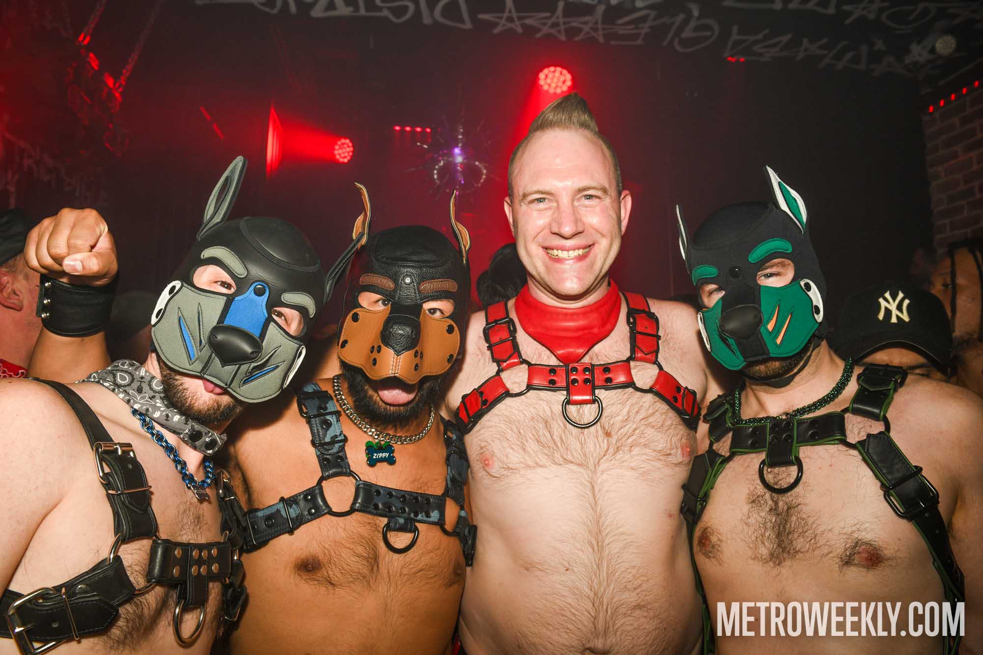 Chosen Metro Weekly Scene image