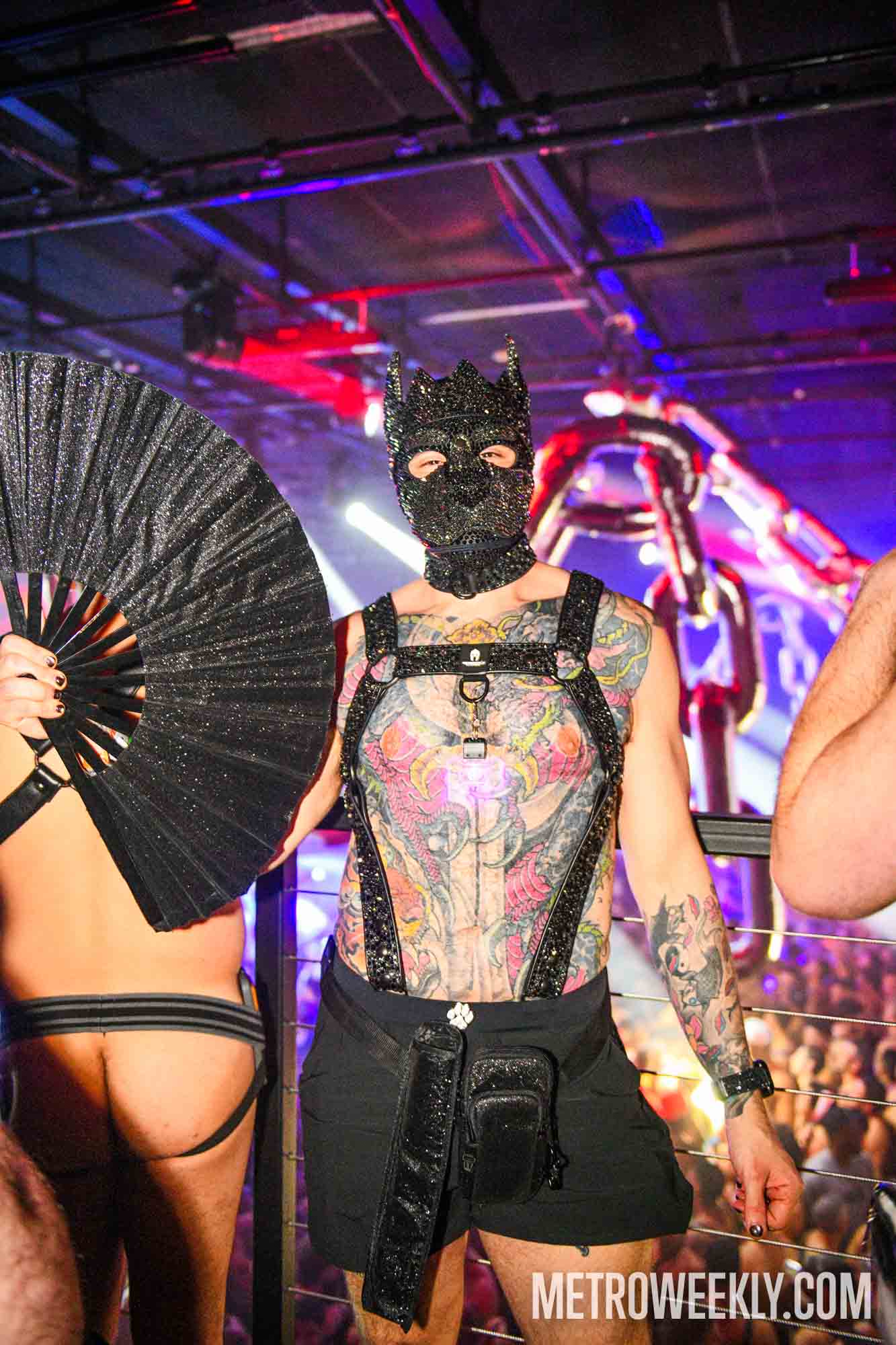 #6 of 40 : 2026-01-23_3026_179182.jpg