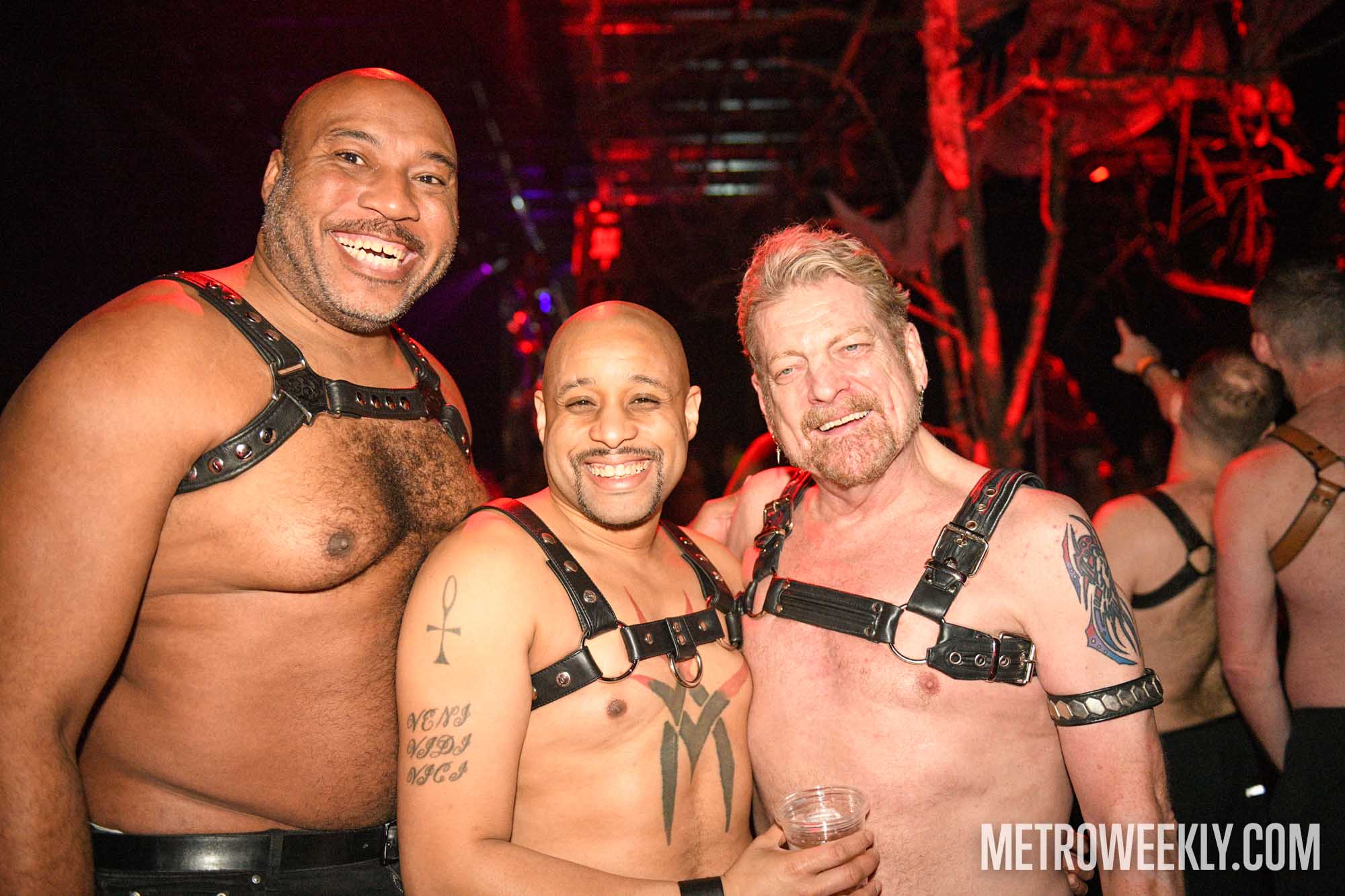 #12 of 40 : 2026-01-23_3026_179188.jpg