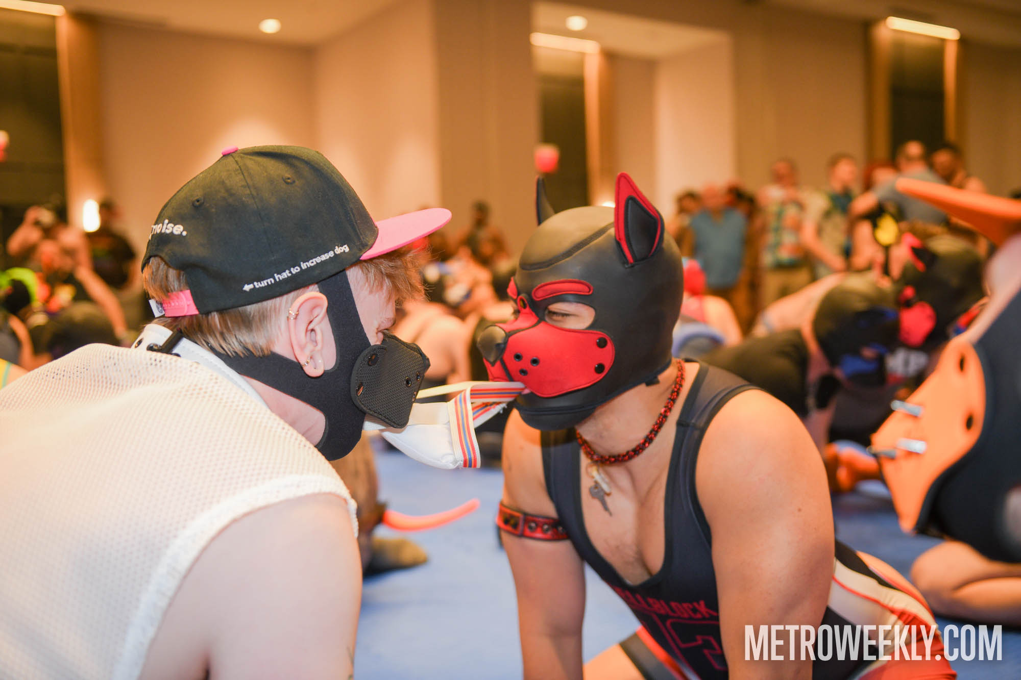 Chosen Metro Weekly Scene image