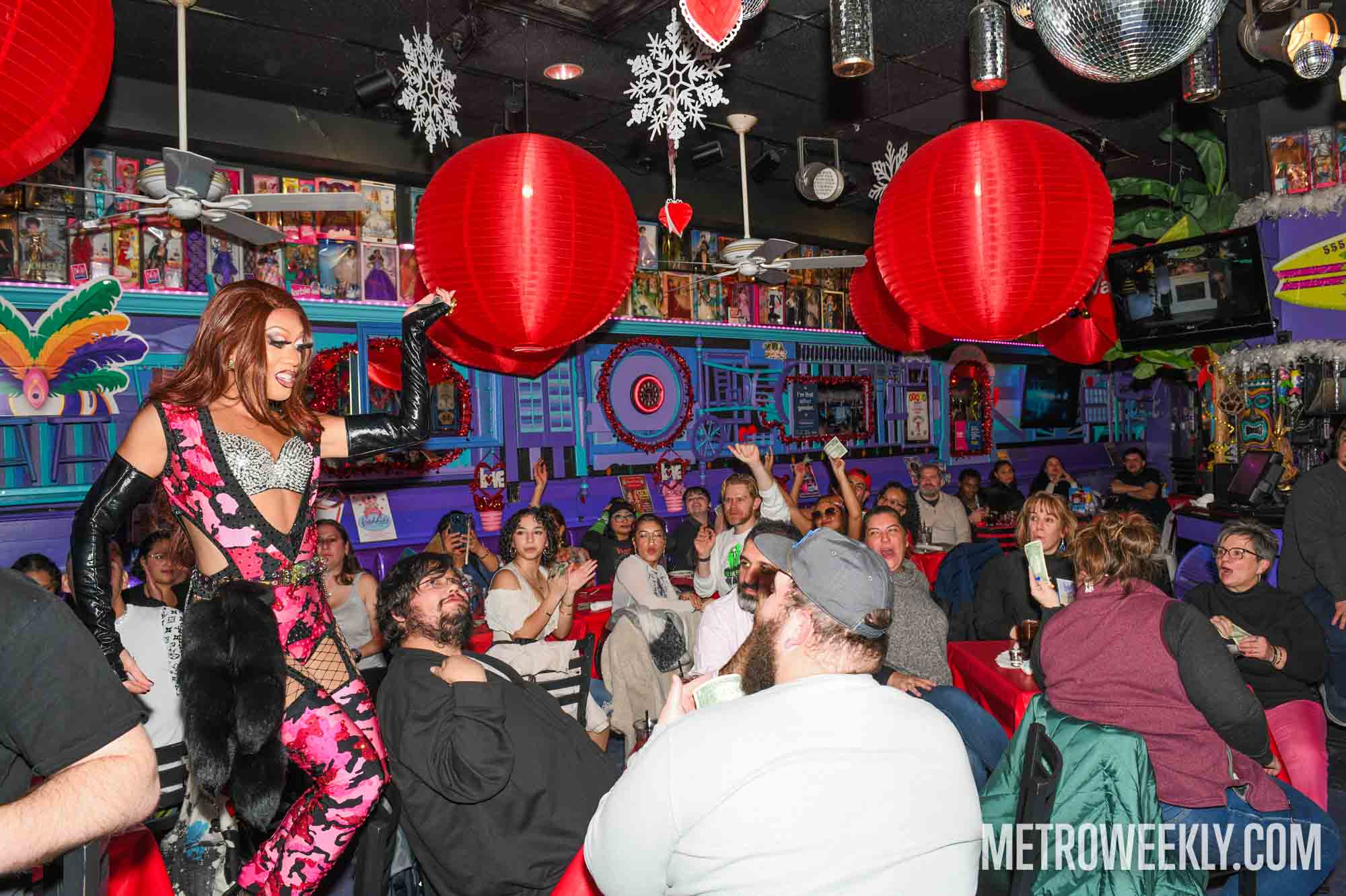 #15 of 67 : 2026-02-12_3031_179607.jpg