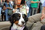 2006 Capital Pride Parade #161