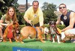 Pets-DC's 13th Annual Pride of Pets Dog Show #42