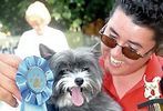 Pets-DC's 13th Annual Pride of Pets Dog Show #43