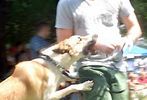 thumbnail photo