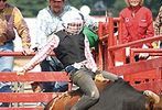 ASGRA's 2006 Atlantic Stampede #36