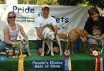 14th annual Pride of Pets pageant #32