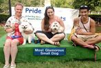 Pride of Pets #19