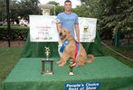 PETS-DC's Pride of Pets Dog Show #16