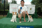 PETS-DC's Pride of Pets Dog Show #36