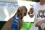 PETS-DC's Pride of Pets Dog Show #69