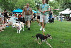 PETS-DC's Pride of Pets Dog Show #71