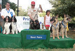 Pride of Pets Dog Show #134