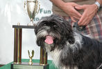 Pride of Pets Dog Show #153