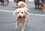 2011 Capital Pride Parade #18