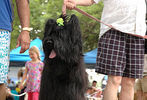 Pride of Pets 2011 #30