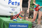 Pride of Pets 2011 #115