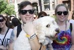 DC Capital Pride Parade 2012 #407