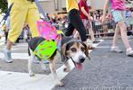 Capital Pride Parade 2013 #158