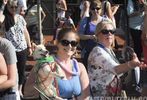 Capital Pride Parade 2013 #683
