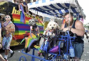 Capital Pride Parade 2015 #144