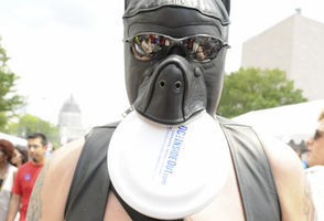Capital Pride Festival 2015 #290